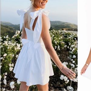 Show Me Your Mumu Claire Mini Dress